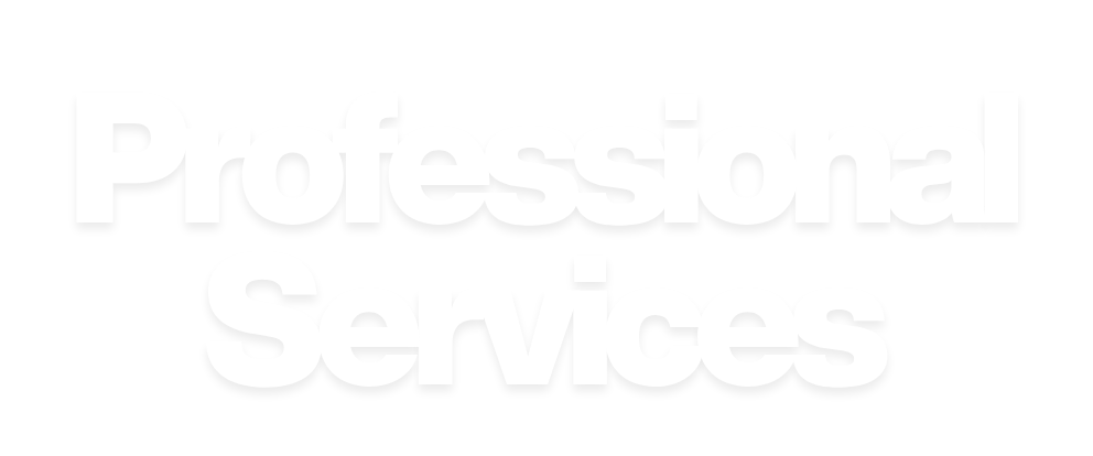 Professional Leadership Marketing